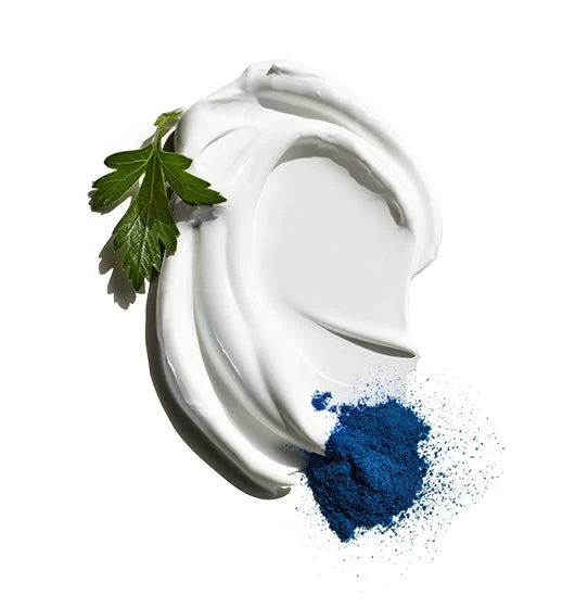 Jack Black Face Moisturizer With SPF - Image 2