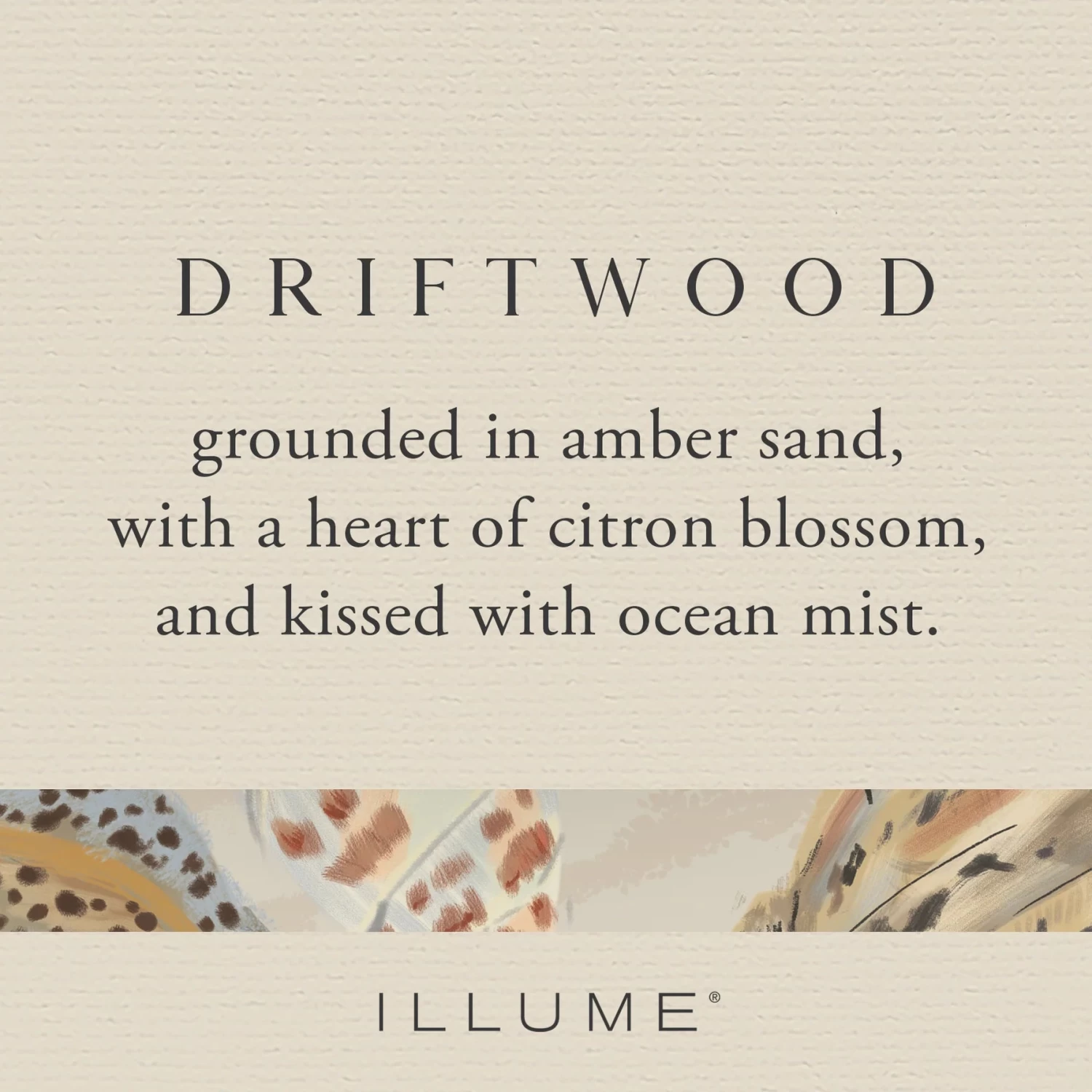 Driftwood Diffuser - Image 4