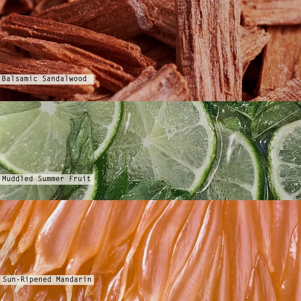 Citrus Crush Diffuser - Image 4