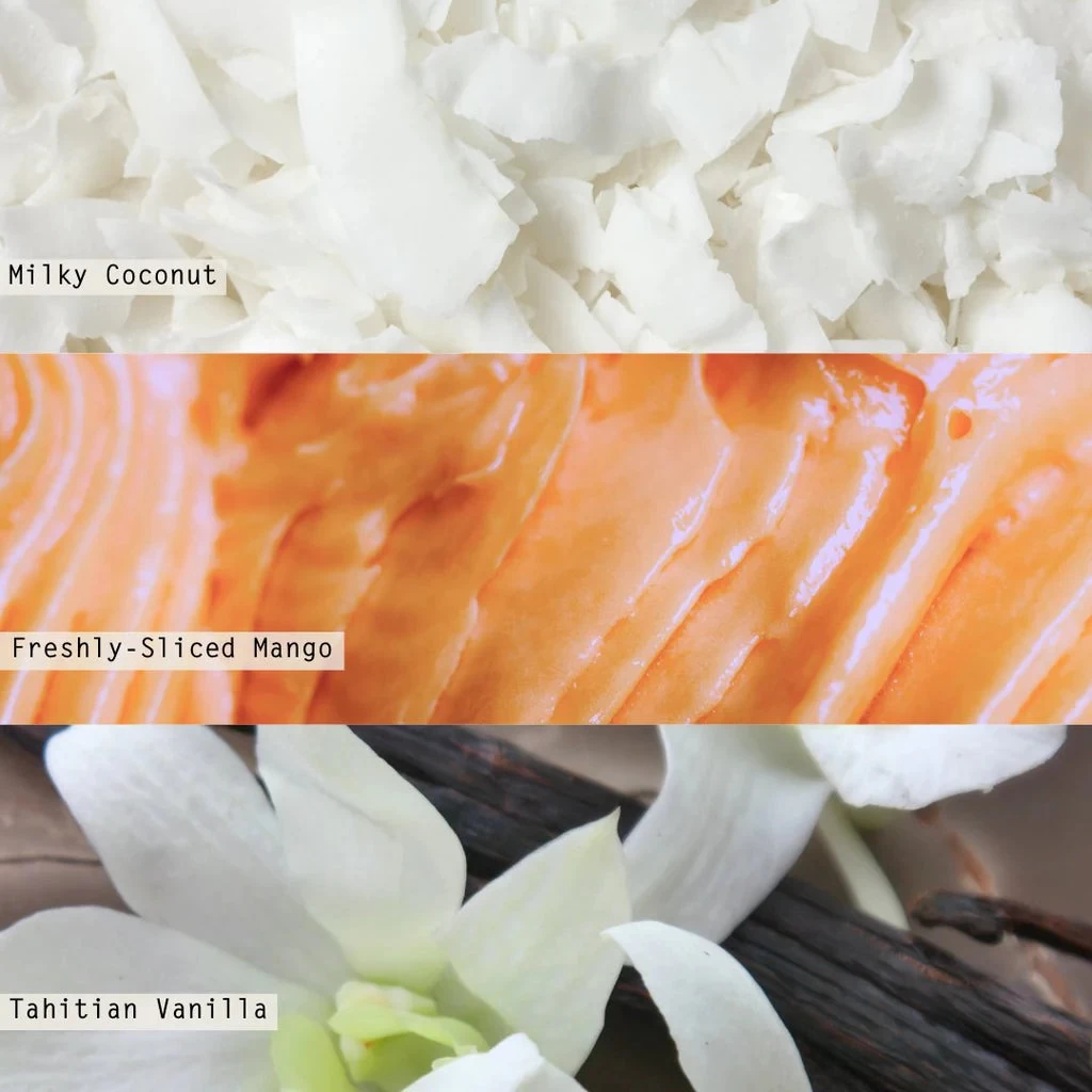 Coconut Milk Mango Diffuser - Image 4