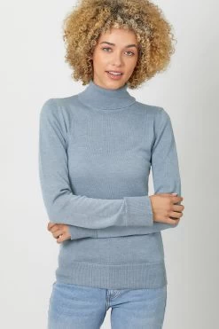 Fitted Turtleneck Sweater In Blue